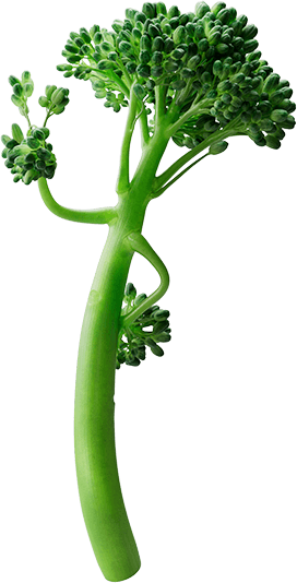 Tenderstem character showing peace sign